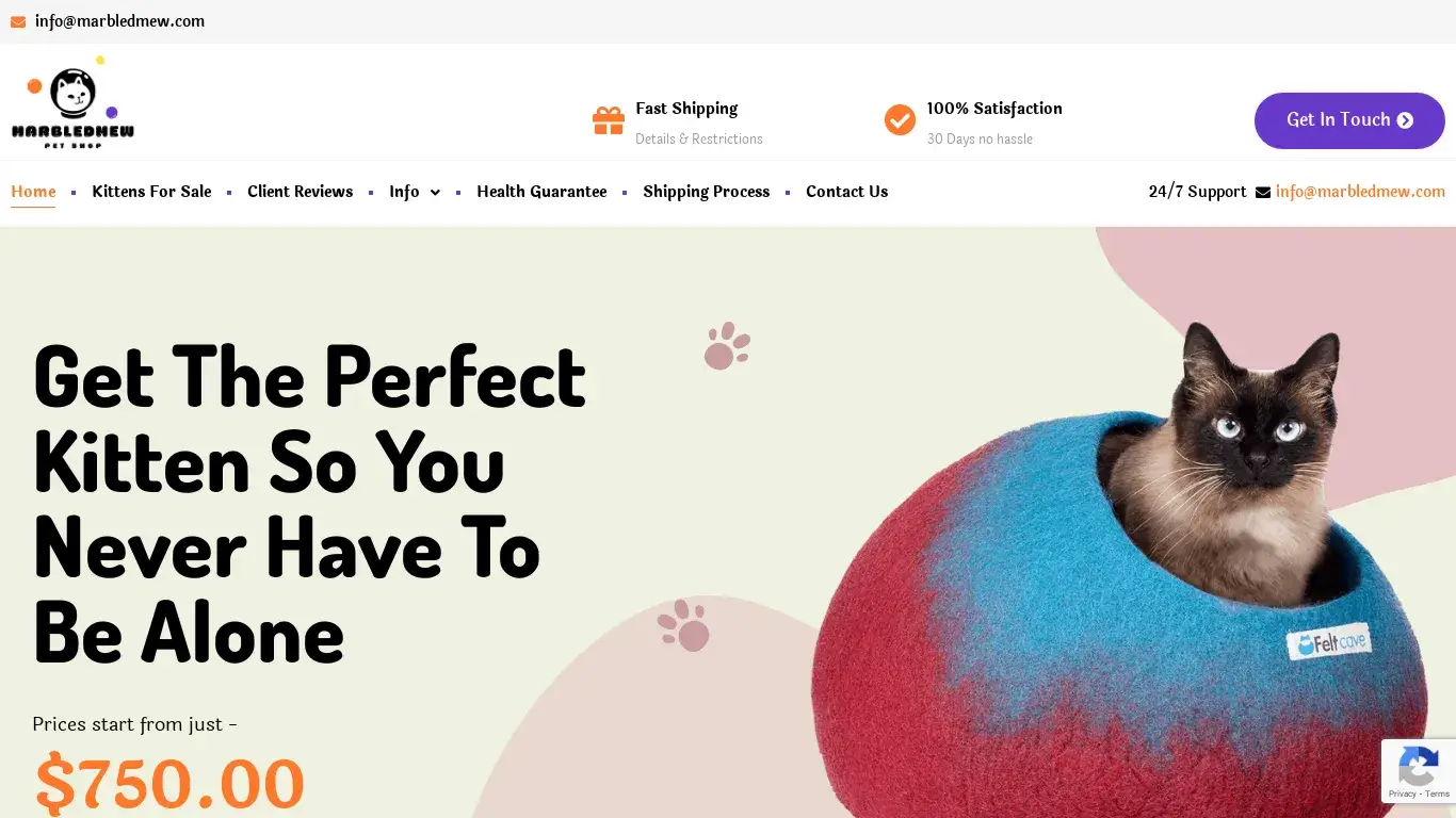 is Marbledmew – kittens for sale! legit? screenshot