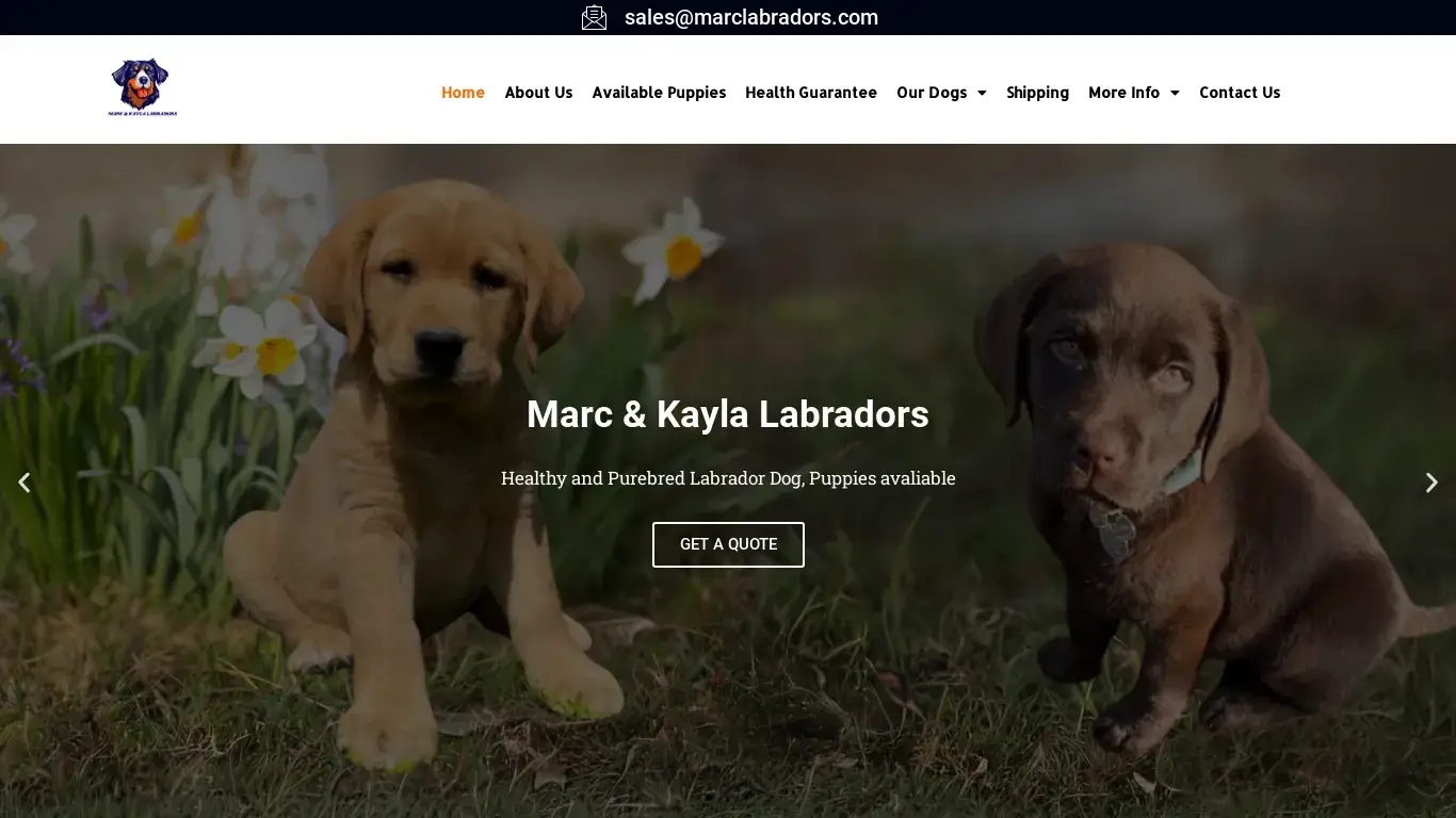 is Buy Labrador Puppies Online, Labrador Puppies Price, Retriever Puppies for Sale legit? screenshot
