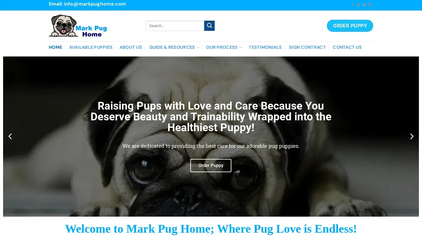 is Pug Puppies for Sale | Pug Puppies for Sale near me – Order Pug Puppies Worldwide legit? screenshot