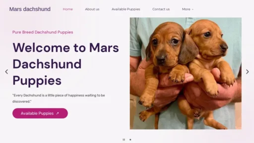 Scam Website Screenshot Marsdachshund.com