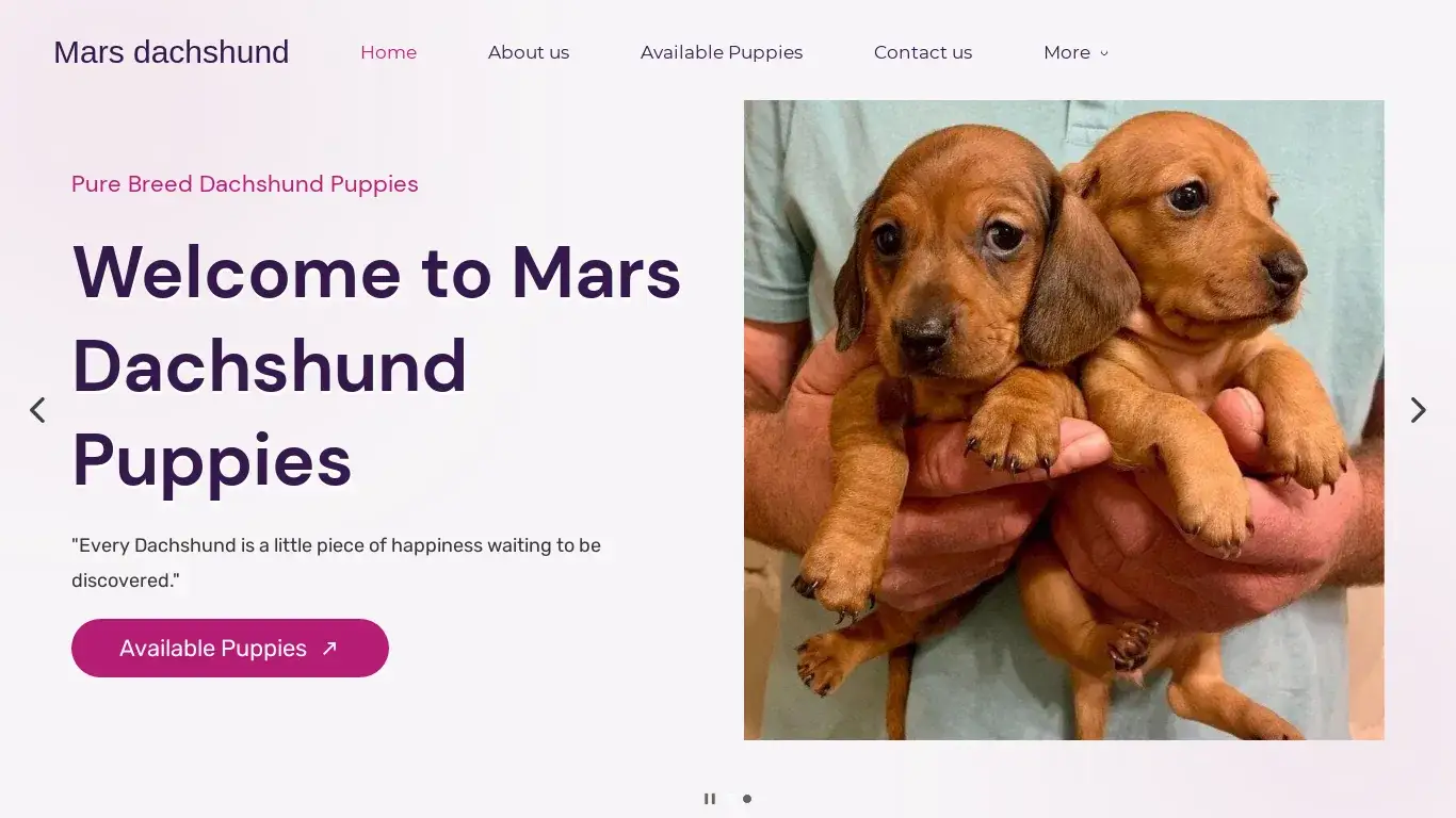 is marsdachshund.com legit? screenshot