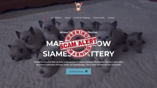 Scam Website Screenshot Marshmallowsiamesecattery.com