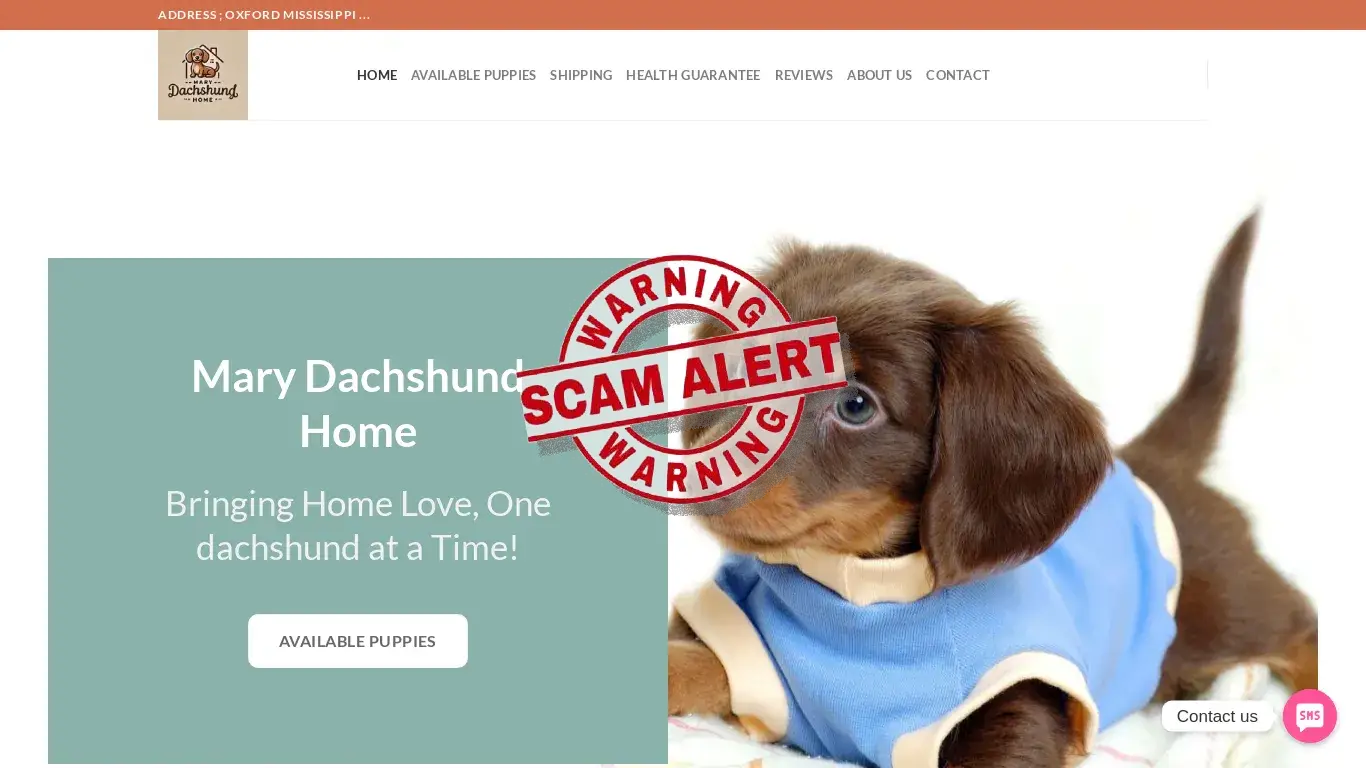 is Mary Dachshund Home – Mary Dachshund Home – Where Love Meets Loyalty! legit? screenshot