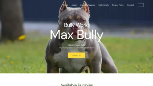 Scam Website Screenshot Maxbully.net