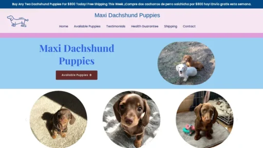 Scam Website Screenshot Maxidachshundpuppies.com