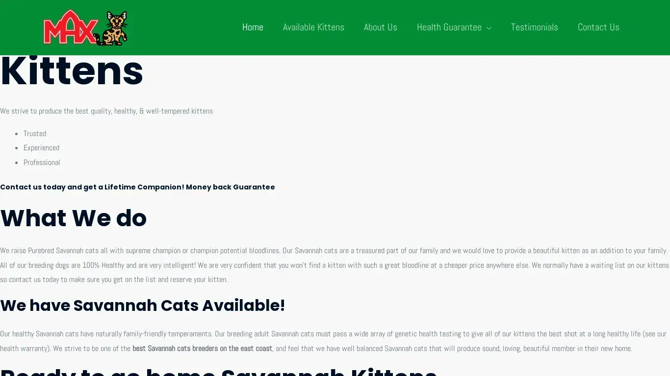 is Max Savannah Kittens – Max Savannah Kittens is an in-home cattery specializing in Savannah Cats! We produce healthy, family-raised, exotic looking Savannah Kittens. legit? screenshot