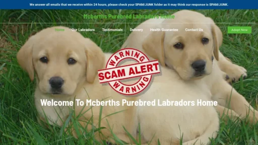 Scam Website Screenshot Mcberthspurebredlabradorshome.com