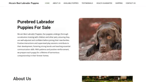 Scam Website Screenshot Mccainbestlabradorpuppies.com