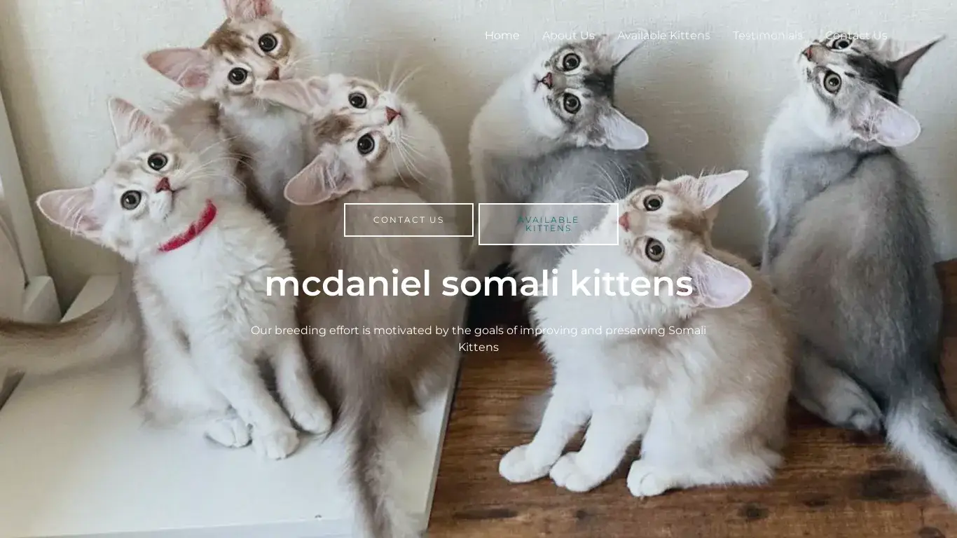 is Home - mcdanielsomalikittens legit? screenshot