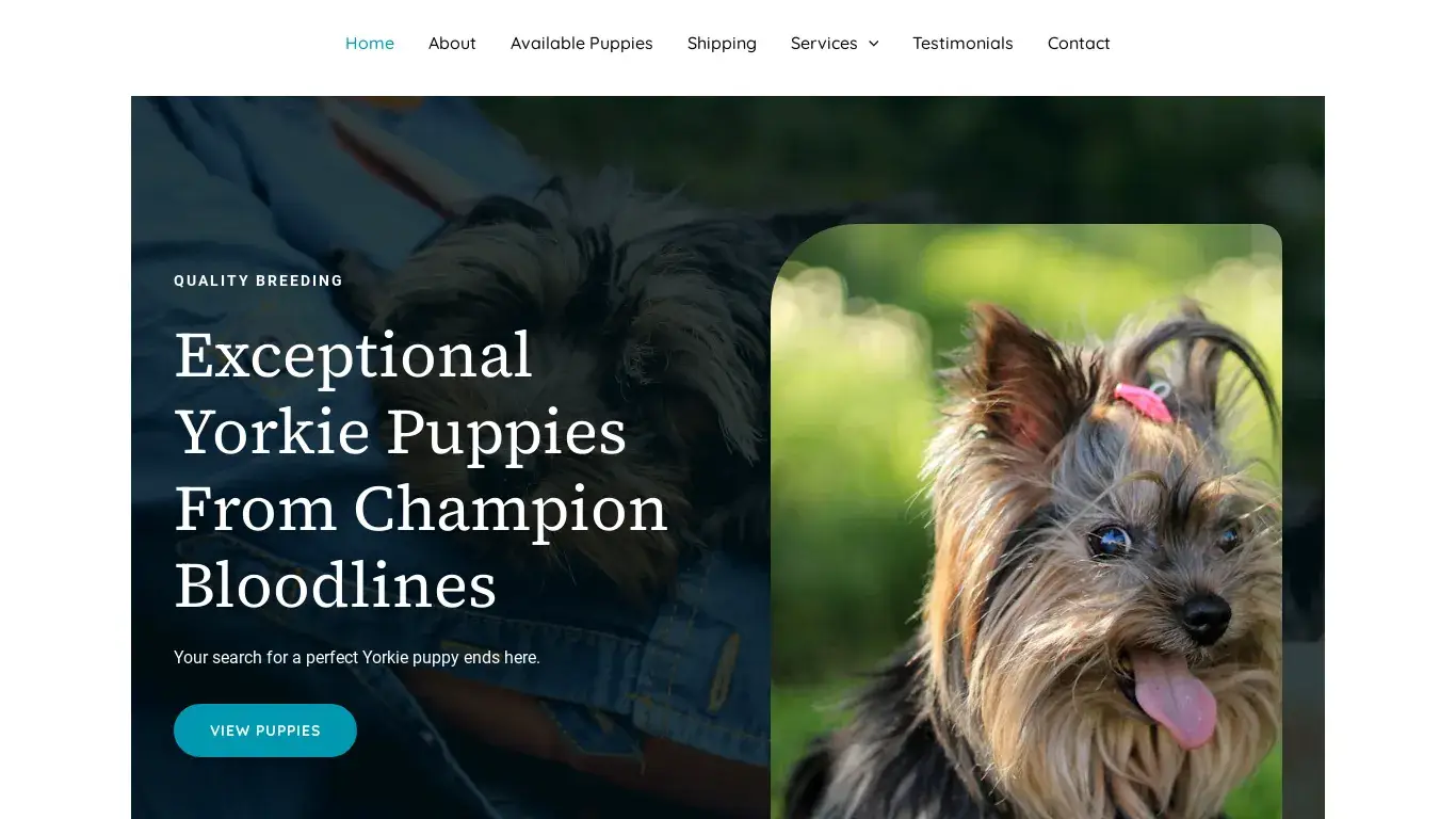 is mckenzieyorkiepuppies.com legit? screenshot