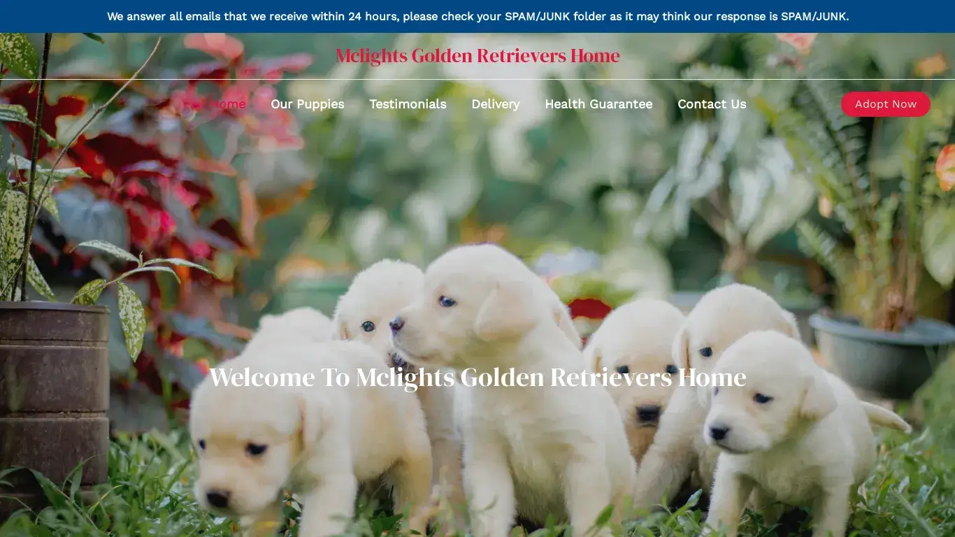 is Mclights Golden Retrievers Home – Purebred Golden Retrievers For Sale legit? screenshot