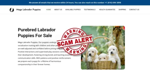 Scam Website Screenshot Megalabradorpuppies.com