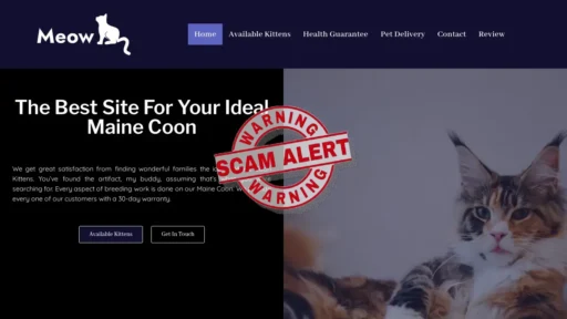 Scam Website Screenshot Meowokittens4homes.org