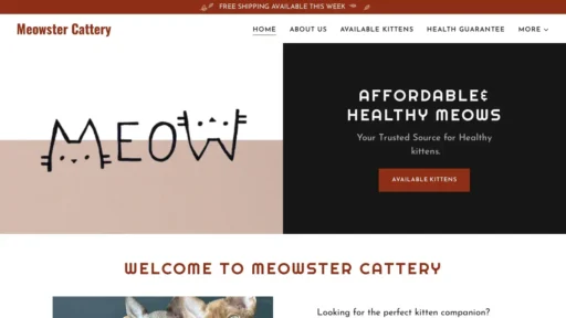 Scam Website Screenshot Meowstercattery.com