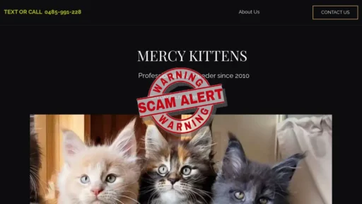 Scam Website Screenshot Mercykittens.com