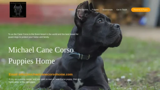 Scam Website Screenshot Michaelcanecorsohome.com