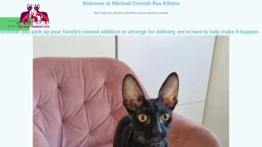 Scam Website Screenshot Michaelcornishrex.com