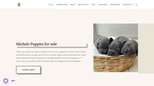 Scam Website Screenshot Michellecanecorso.com