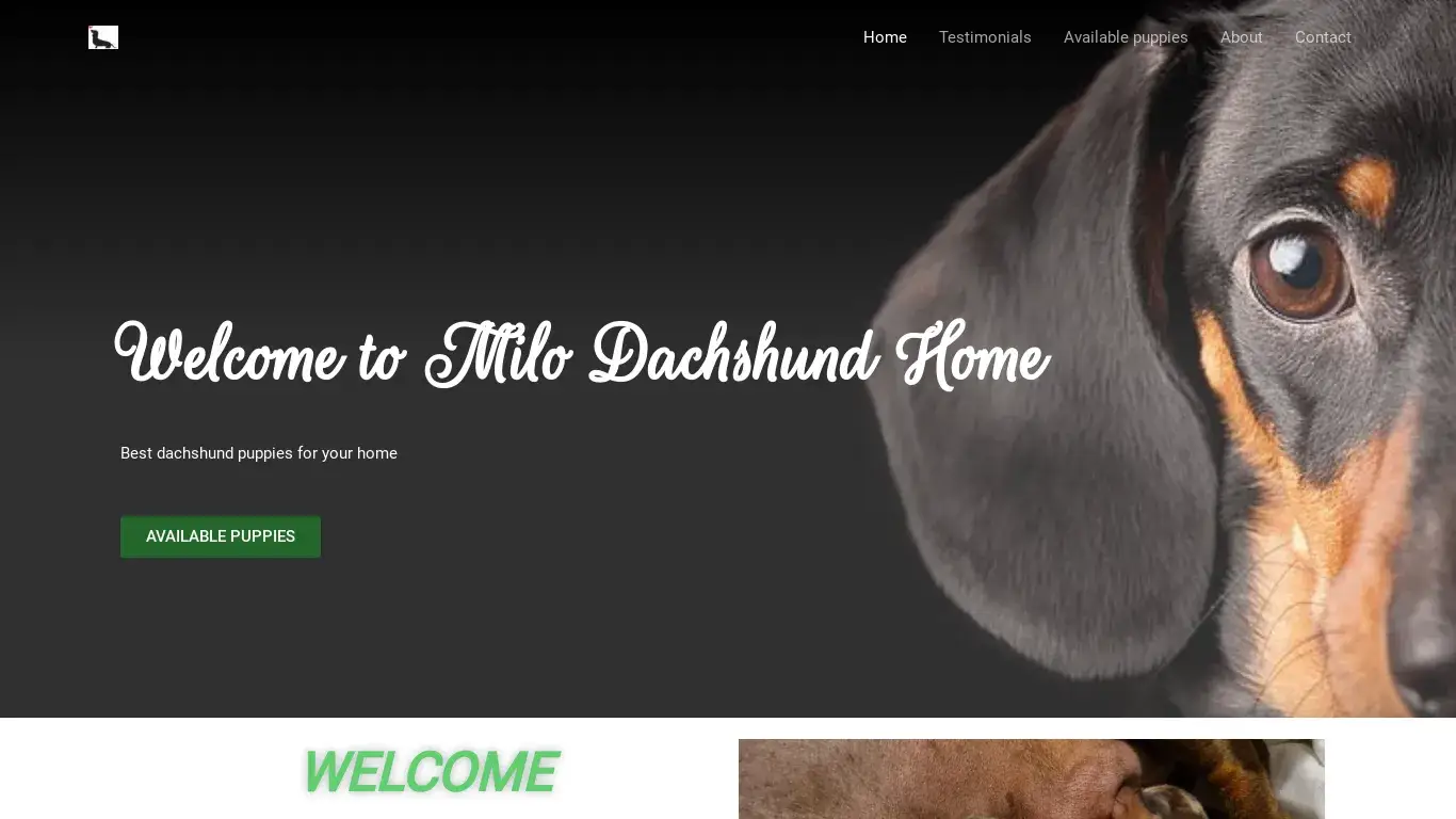 is Home - milodachshundpuppies.com legit? screenshot