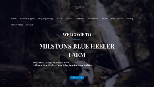 Scam Website Screenshot Milstonsblueheelerfarm.com