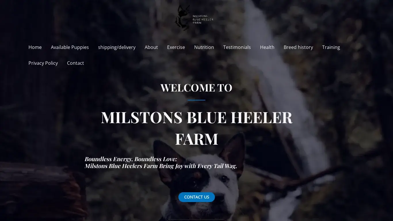 is MILSTONS BLUE HEELER FARM – Boundless Energy, Boundless Love: Milstons Blue Heelers Farm Bring Joy with Every Tail Wag. legit? screenshot