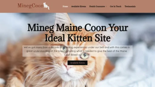 Scam Website Screenshot Minegmainecoon.com