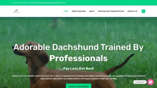 Scam Website Screenshot Miniaturedachshundpuppiesforadoption.shop