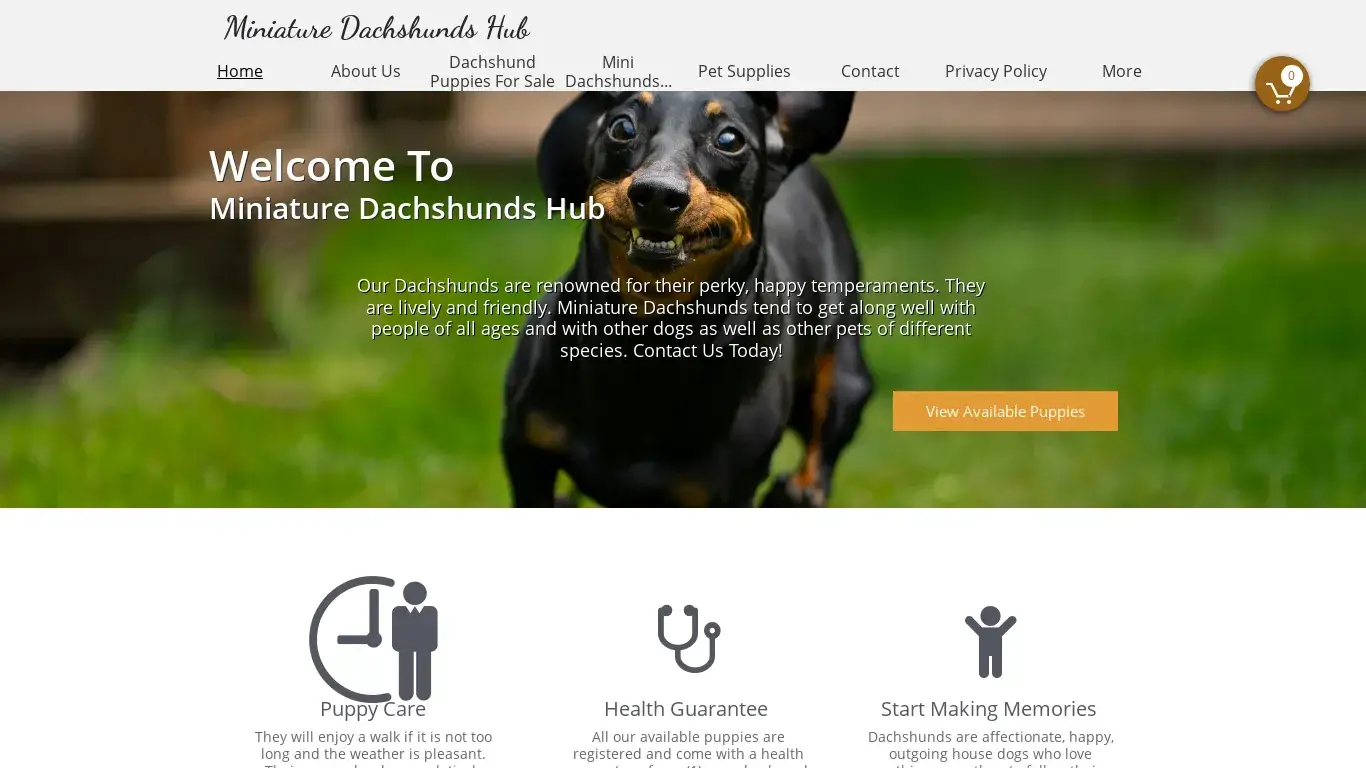 is Miniature Dachshund Puppies For Sale legit? screenshot