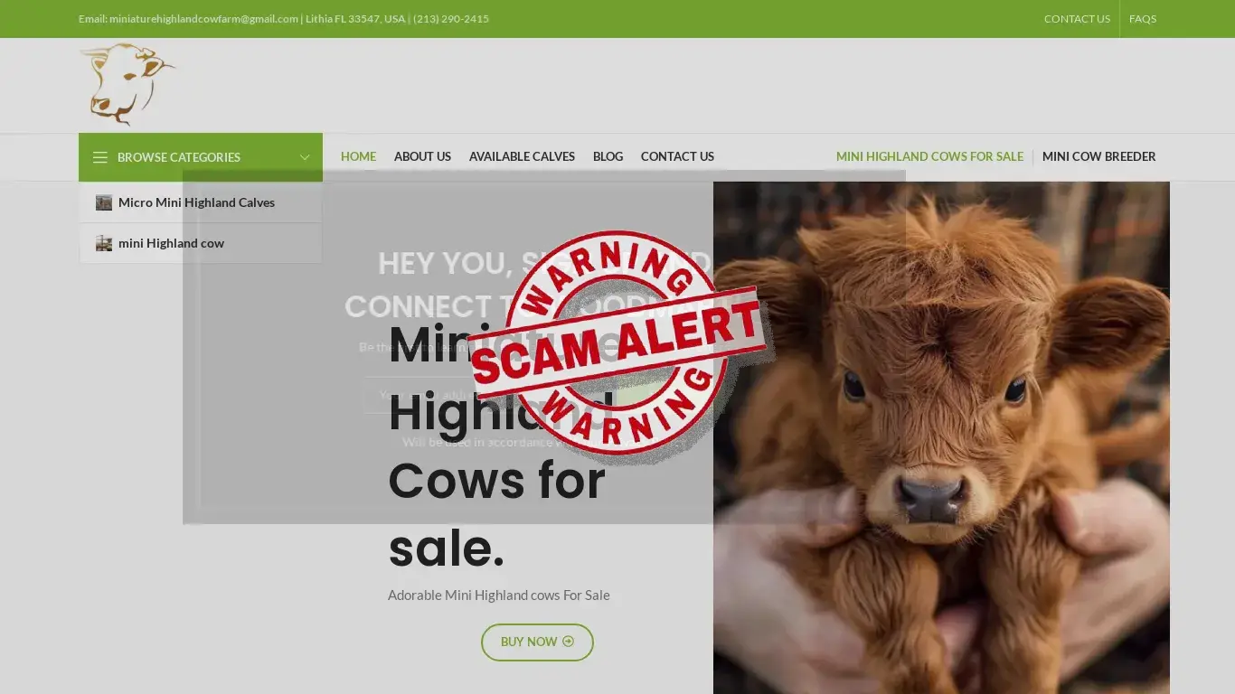is Home - Miniature Highland Cow Farm legit? screenshot