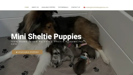 Scam Website Screenshot Minisheltiepuphome.com