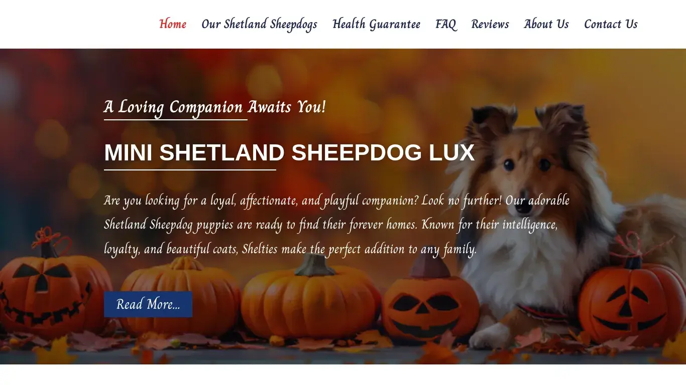 is Mini Shetland Sheepdog Lux – Sheltie Puppies For Sale legit? screenshot