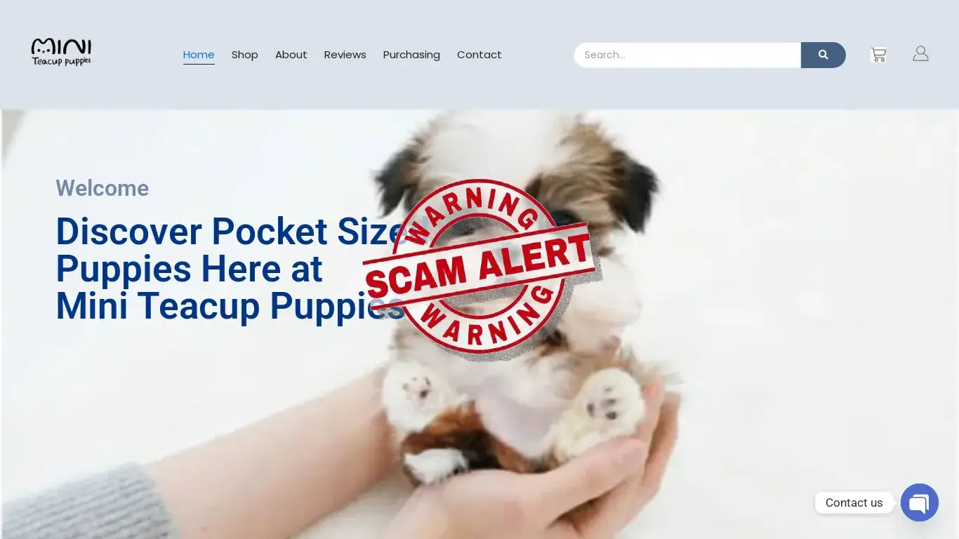 is miniteacupspuppies.com – Mini Teacup Puppies legit? screenshot