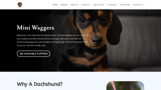 Scam Website Screenshot Miniwaggers.com