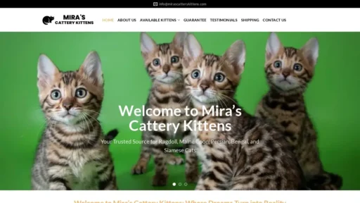Scam Website Screenshot Mirascatterykittens.com