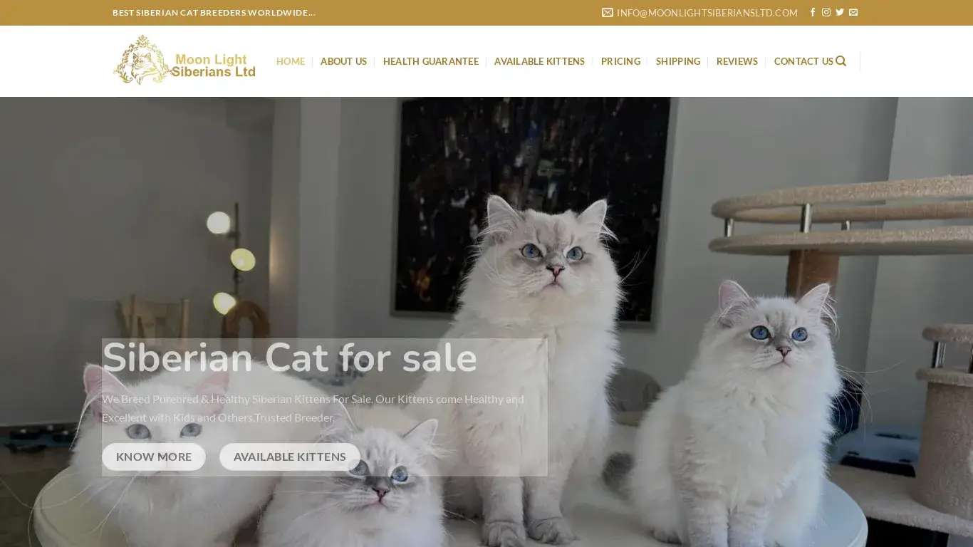 is Kittens for Sale | Buy Kittens Online | Order Kittens Online – Best Kitten Home Companion legit? screenshot