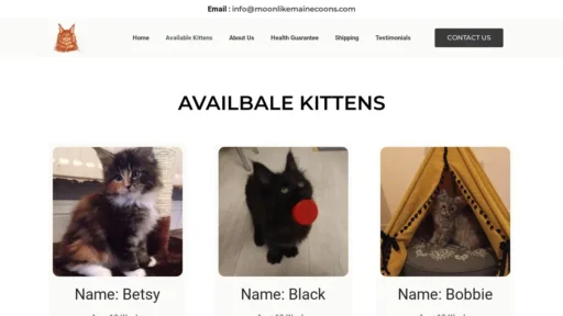 Scam Website Screenshot Moonlikemainecoons.com