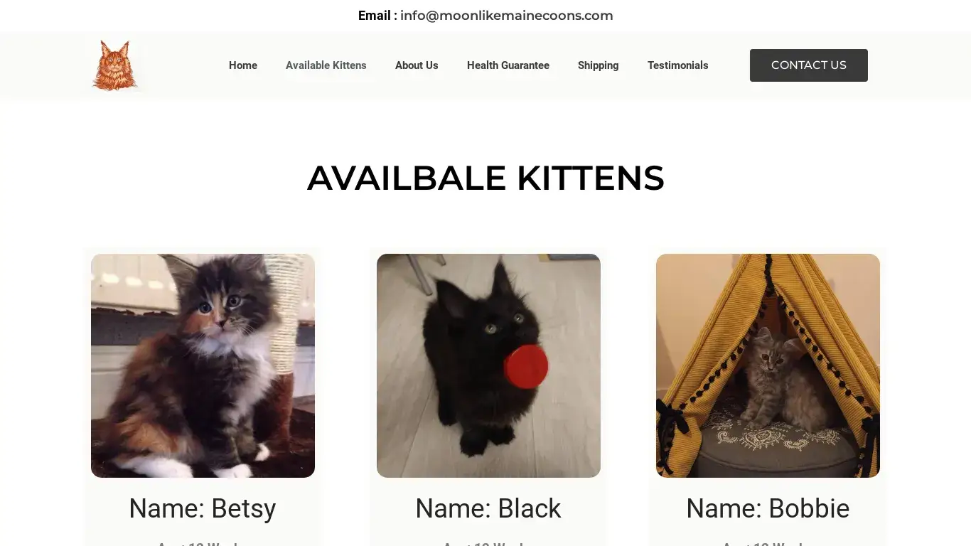 is Available Kittens - moonlikemainecoons.com legit? screenshot