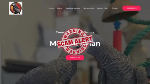 Scam Website Screenshot Morganavianhome.com