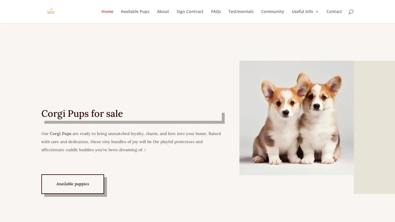 is My Adorable Corgi Puppies | Adopt a Corgi Puppy legit? screenshot