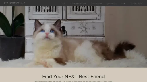 Scam Website Screenshot Mynextfeline.com