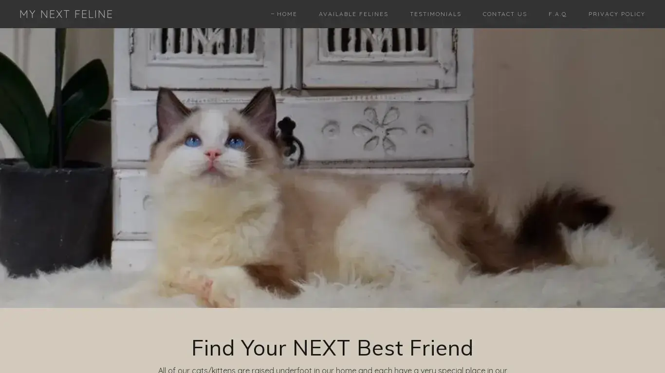 is HOME legit? screenshot