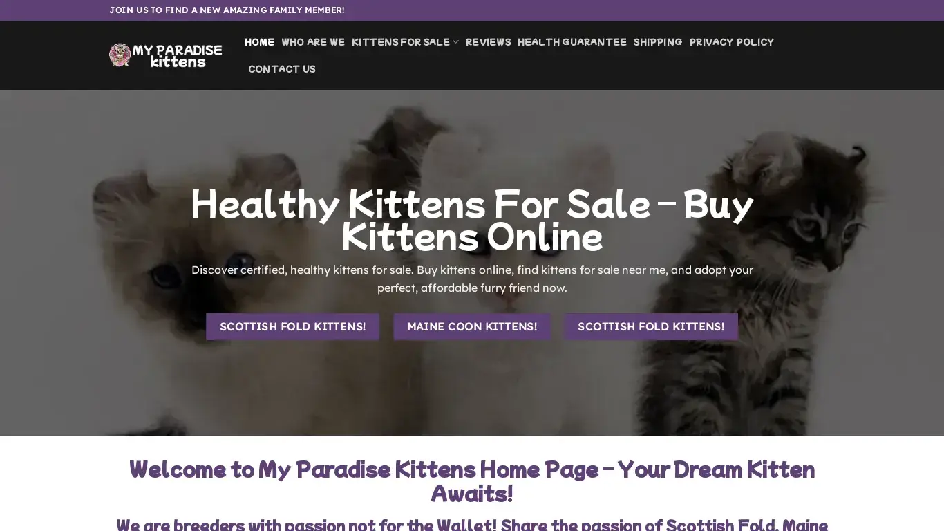 is Healthy Kittens for Sale – Buy Kittens Online – Kittens For Sale Near Me legit? screenshot
