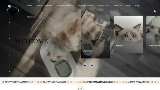Scam Website Screenshot Mysteryragdollcattery.com