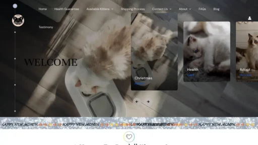 Scam Website Screenshot Mysteryragdolls.com