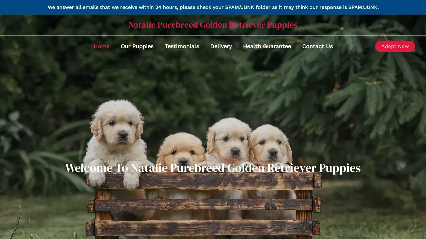 is Natalie Purebreed Golden Retriever Puppies – Purebred Golden Retrievers For Sale legit? screenshot