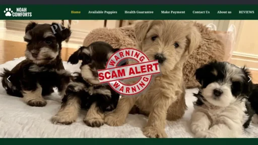 Scam Website Screenshot Noahcomforts.com