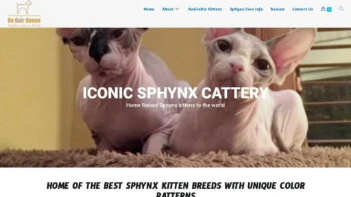 Scam Website Screenshot Nohairsphynxcats.com