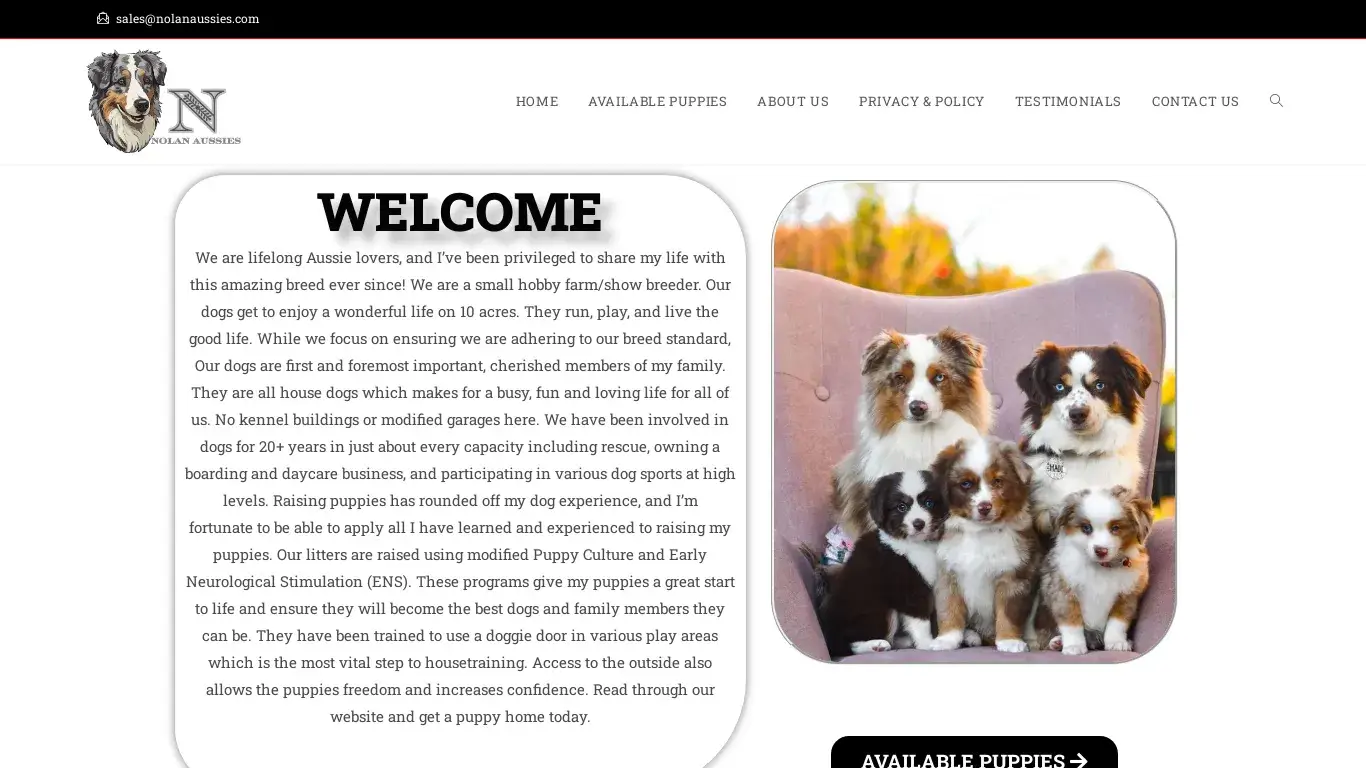 is NOLAN AUSSIES – Licensed Aussies Breeder legit? screenshot