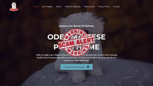 Scam Website Screenshot Odesmaltese.com