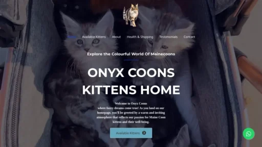 Scam Website Screenshot Onyxcoons.com